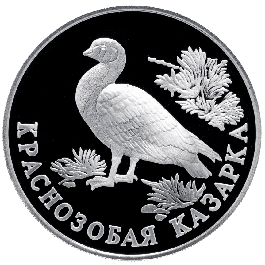 1 рубль 1994 года «Краснозобая казарка. Красная книга» Proof