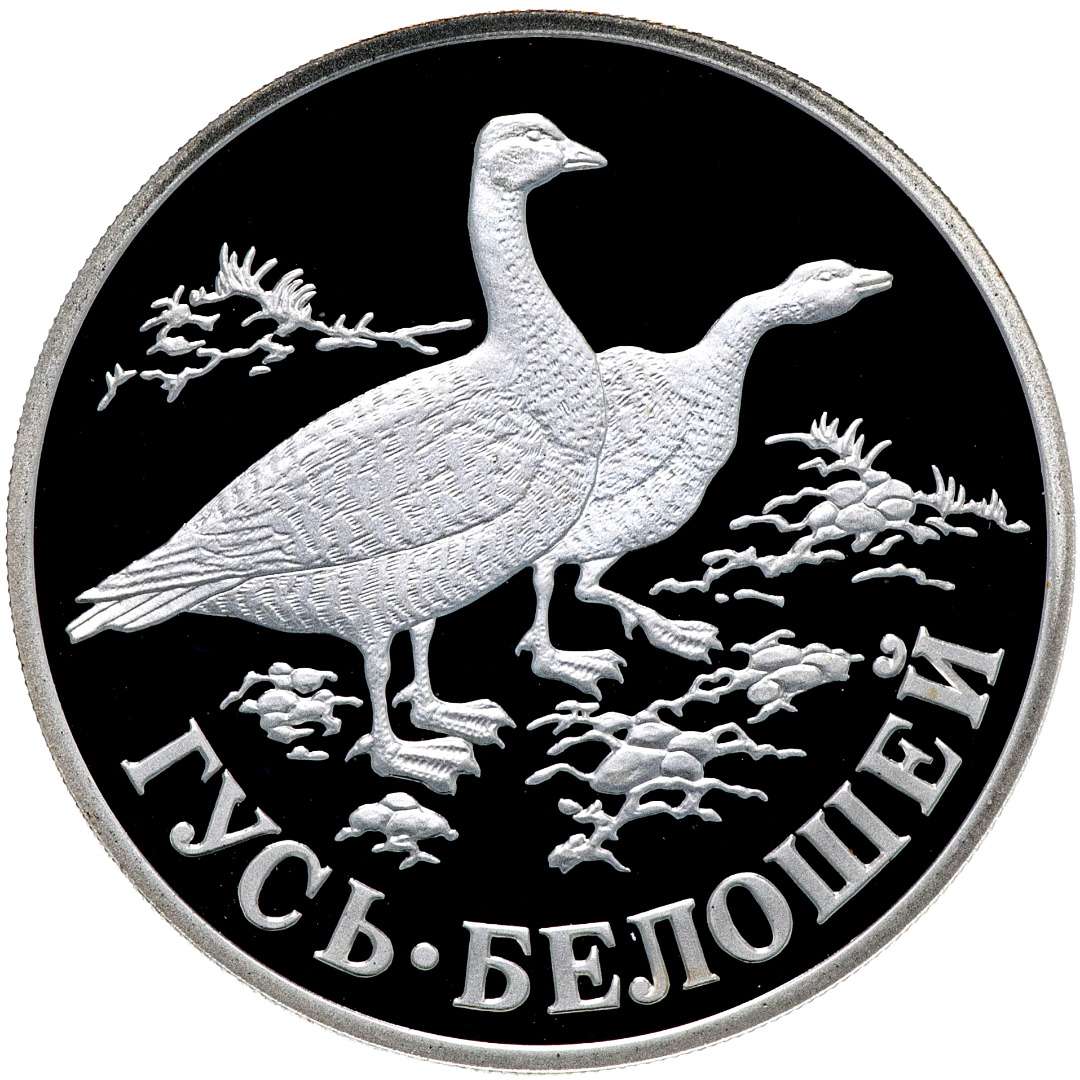 1 рубль 1998 года «Гусь-белошей. Красная книга» Proof