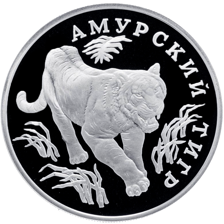1 рубль 1993 года «Амурский тигр. Красная книга» Proof